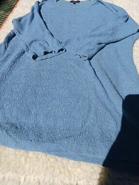 Organic Linen EILEEN FISHER Sweater, Light Blue, Size Petite Large